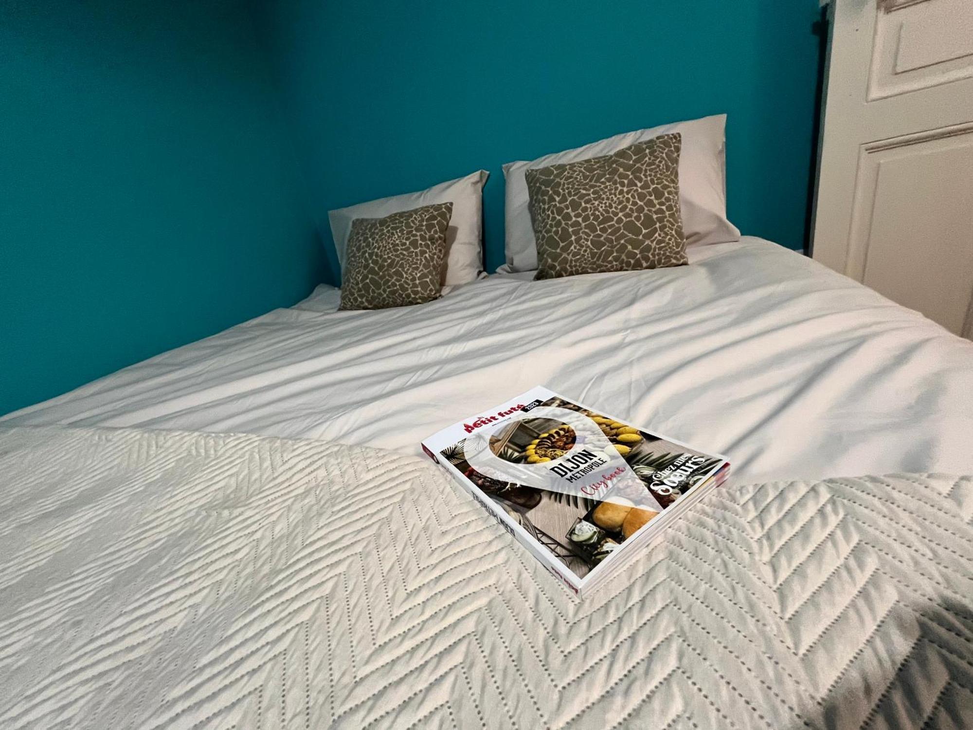 Apartament Ca Se Passe Ici Dijon Zewnętrze zdjęcie